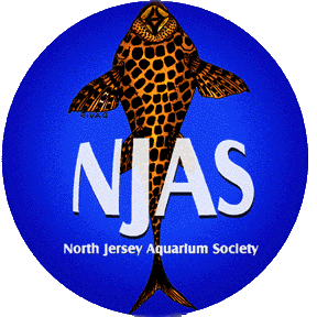 Njaslogo.gif (32602 bytes)